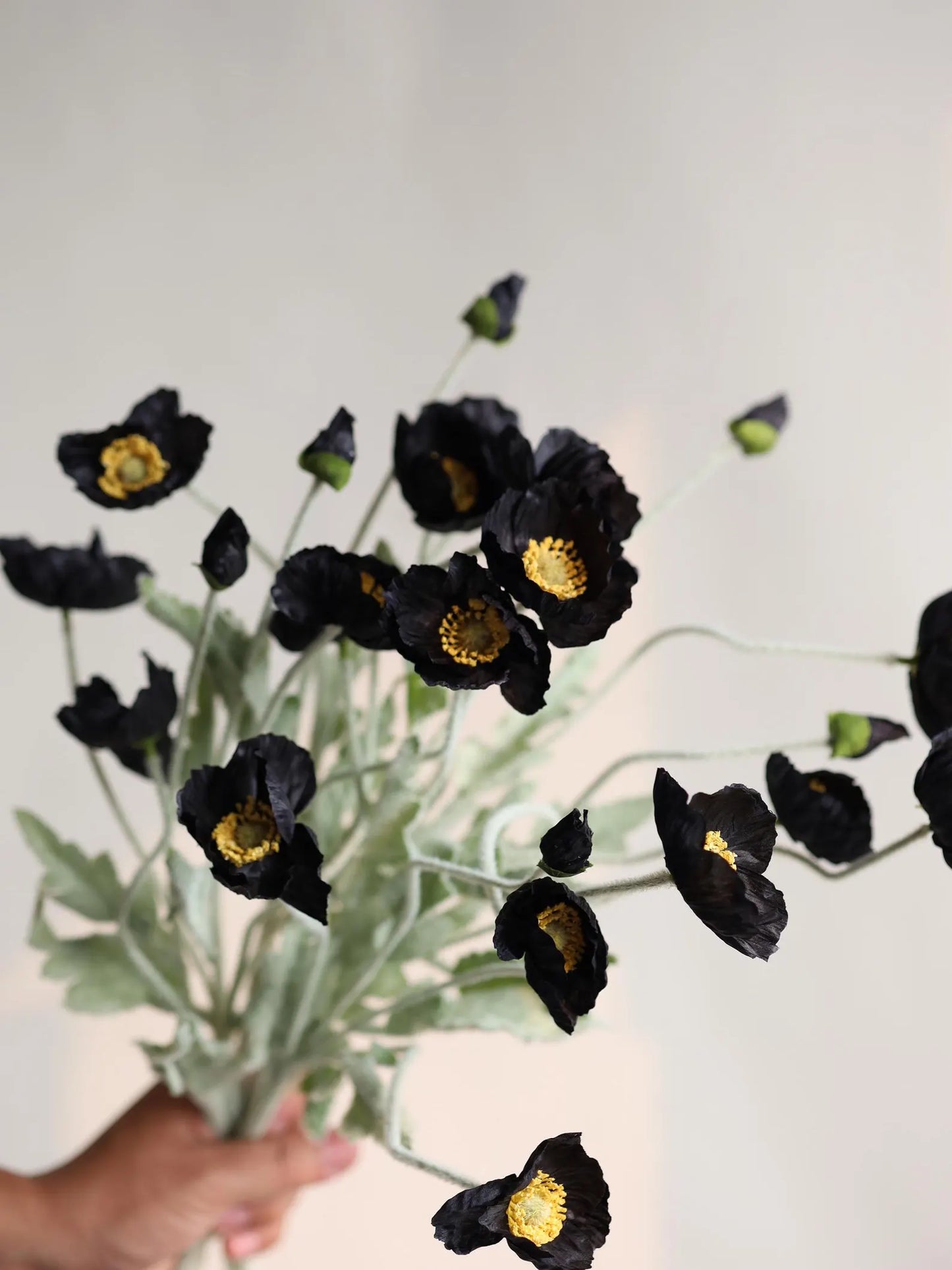 23.5" Silk Flower Poppy Branch Black