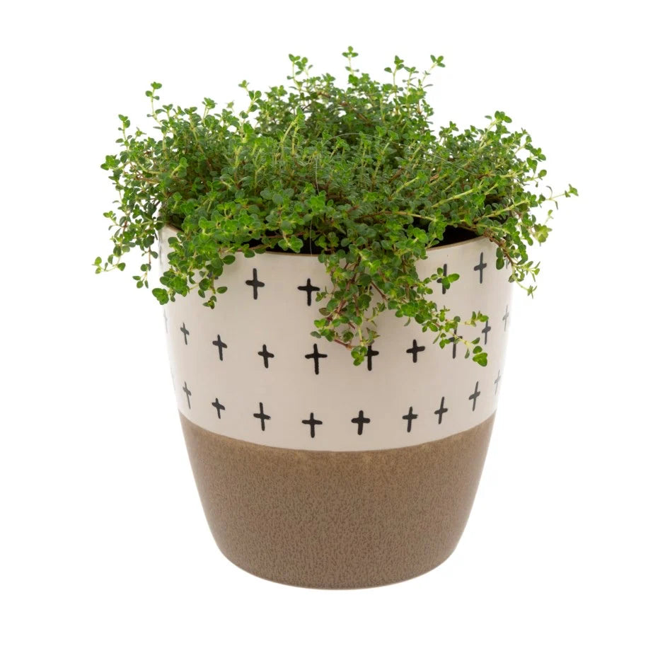 Doodle Pot, Taupe