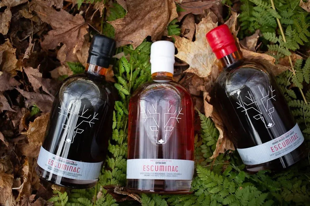 Organic Maple Syrup - Late Harvest