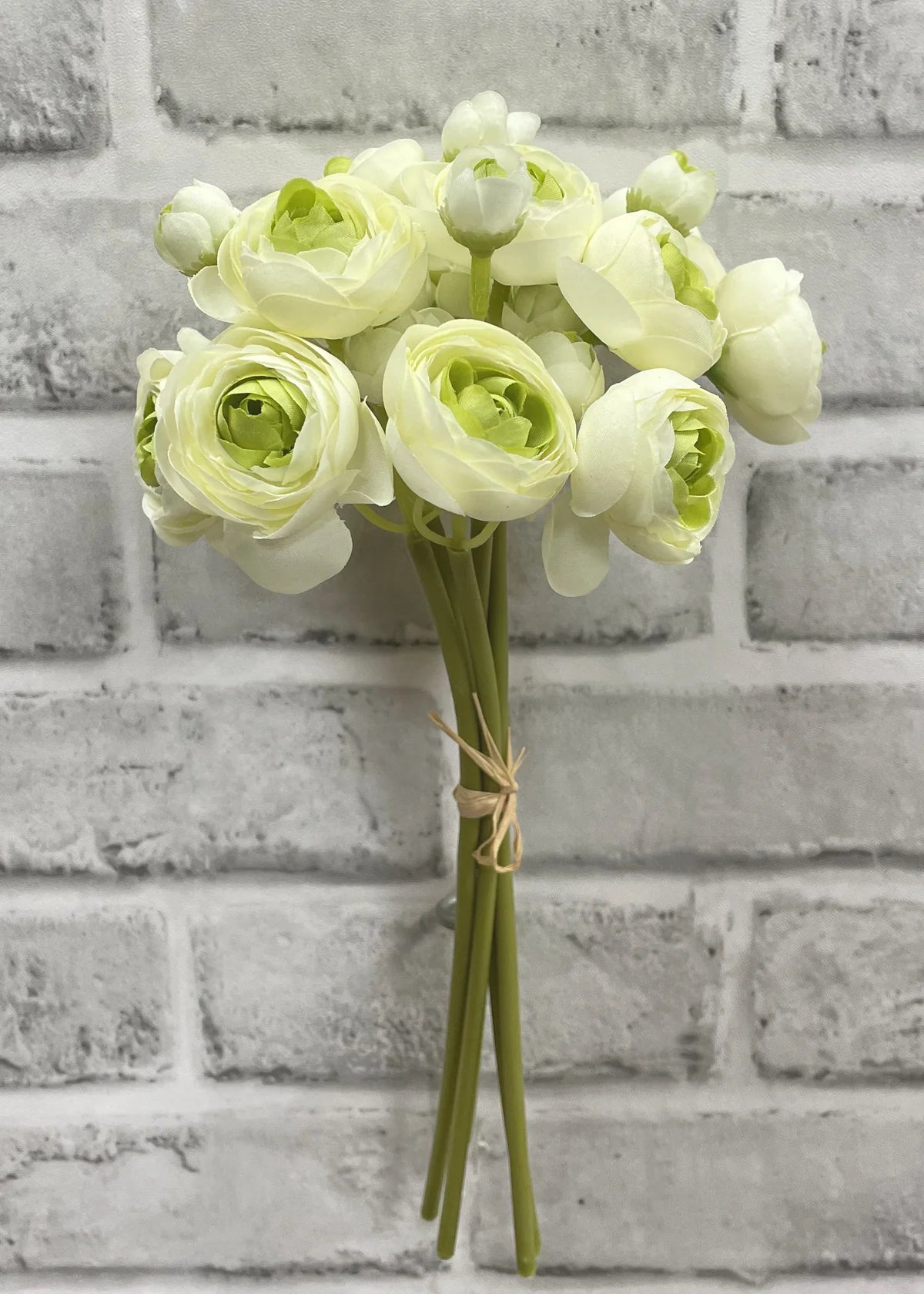 11" GREEN RANUNCULUS - 6 STEMS PER BUNDLE