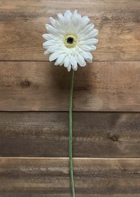 25" WHITE FRESH TOUCH SINGLE GERBERA STEM