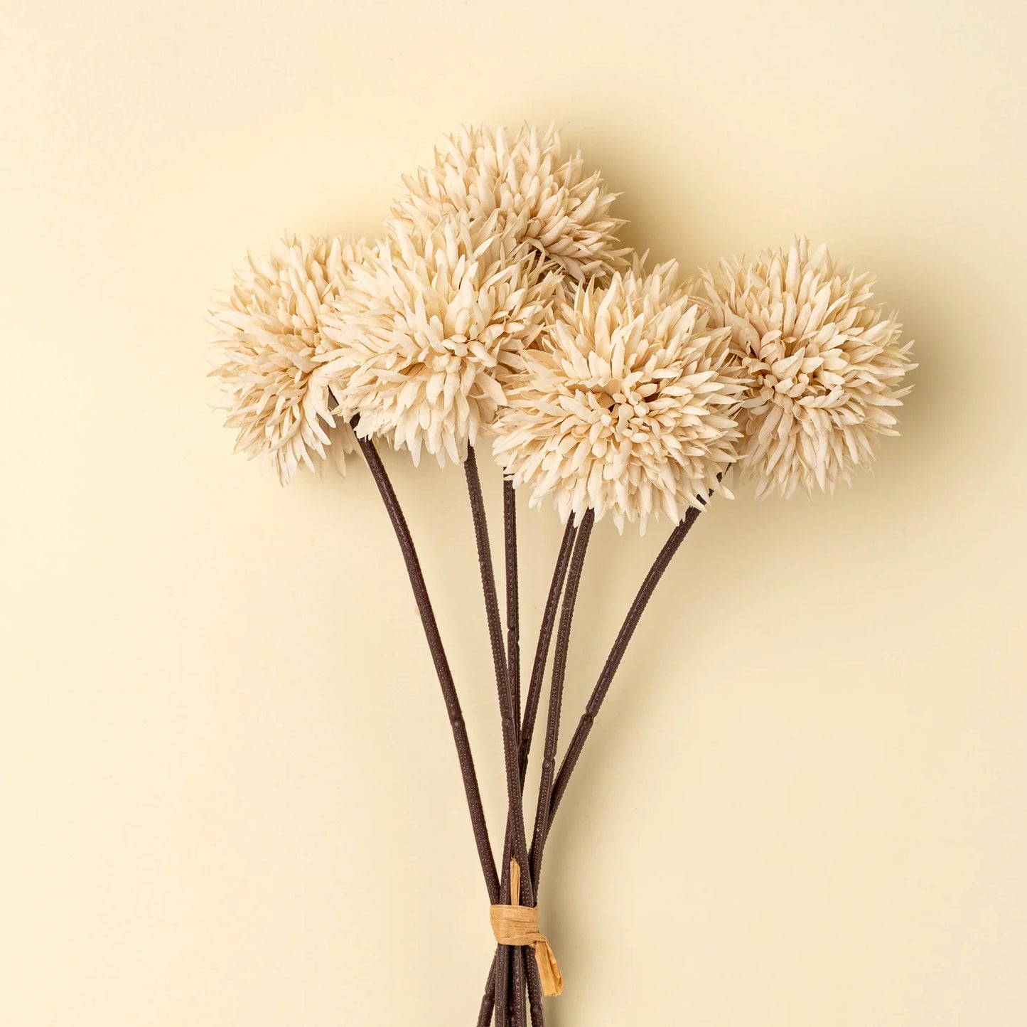 Mini Allium Bouquet, Cream