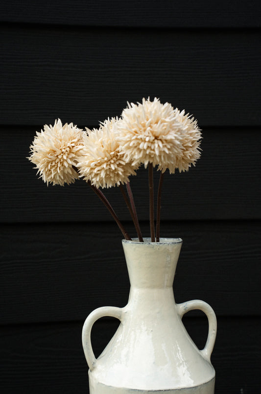 Mini Allium Bouquet, Cream