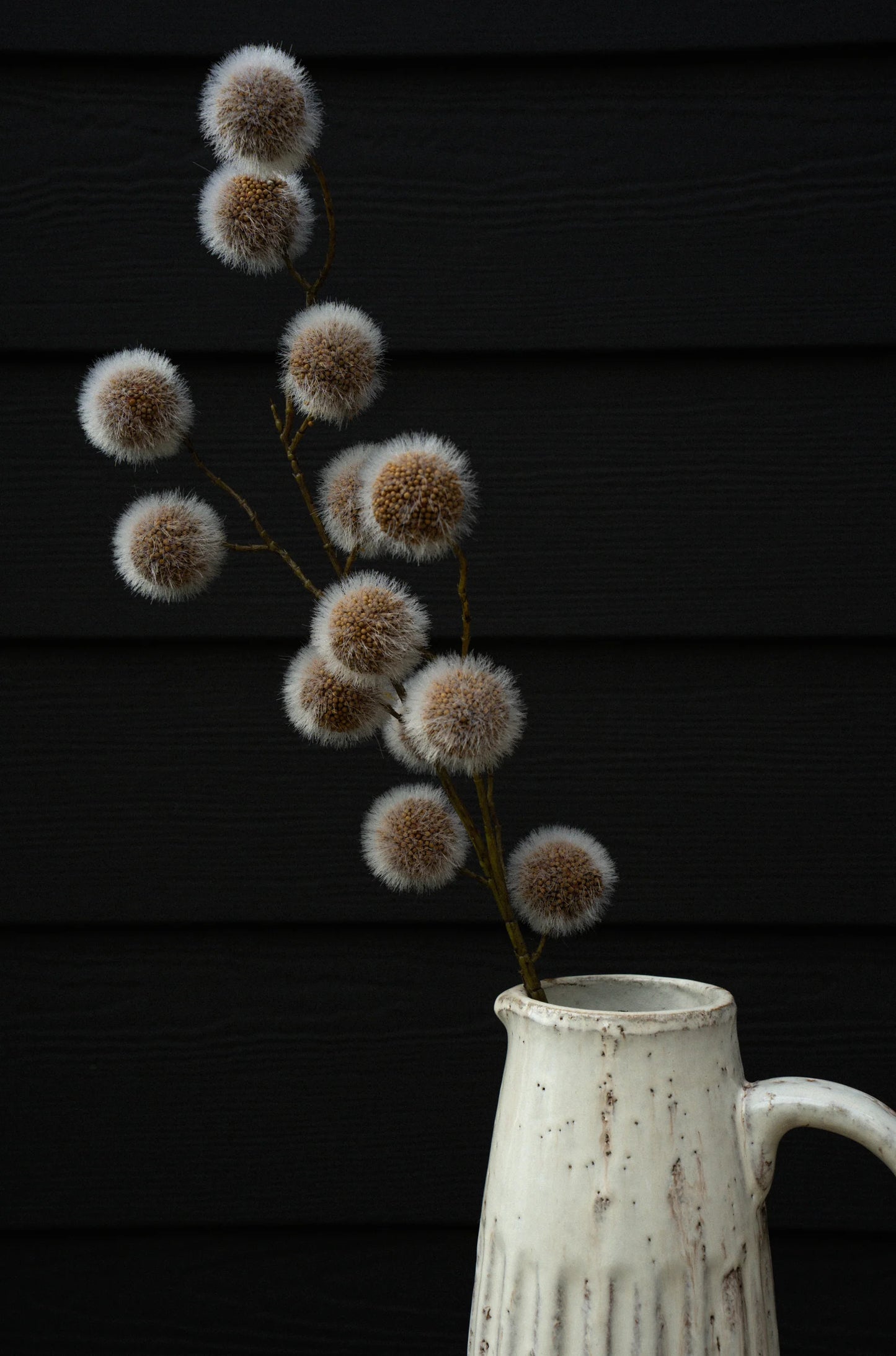 Sycamore Pod Spray