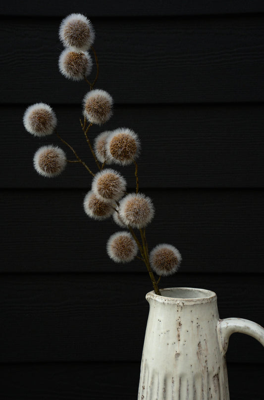 Sycamore Pod Spray