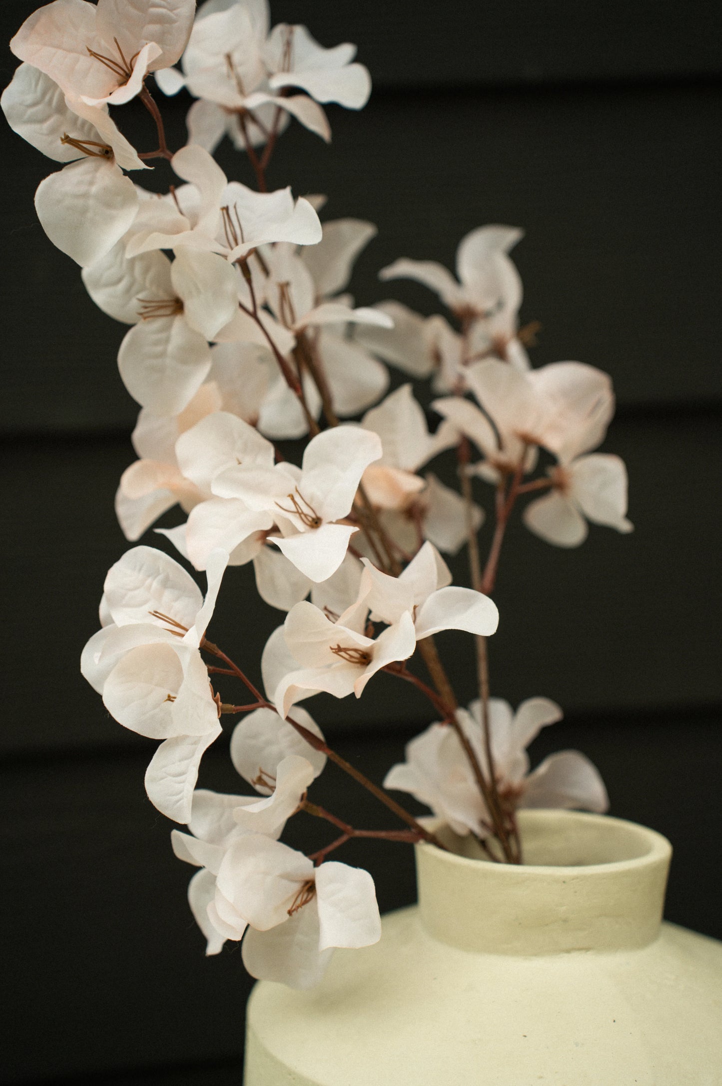 Bougainvillea Spray, Light Pink - Magnolia Lane co. Home + Garden + Gift