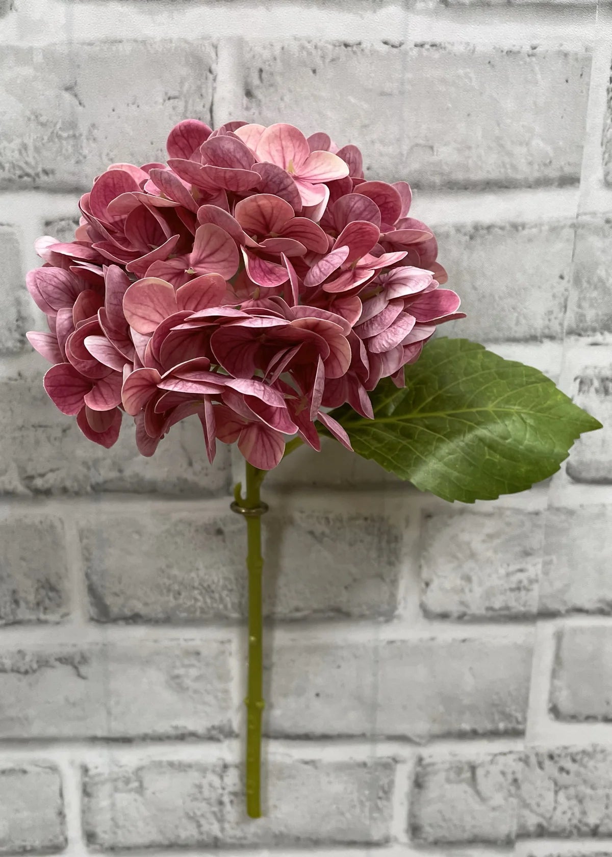 12" ROSE FRESH TOUCH HYDRANGEA STEM - Magnolia Lane co. Home + Garden + Gift