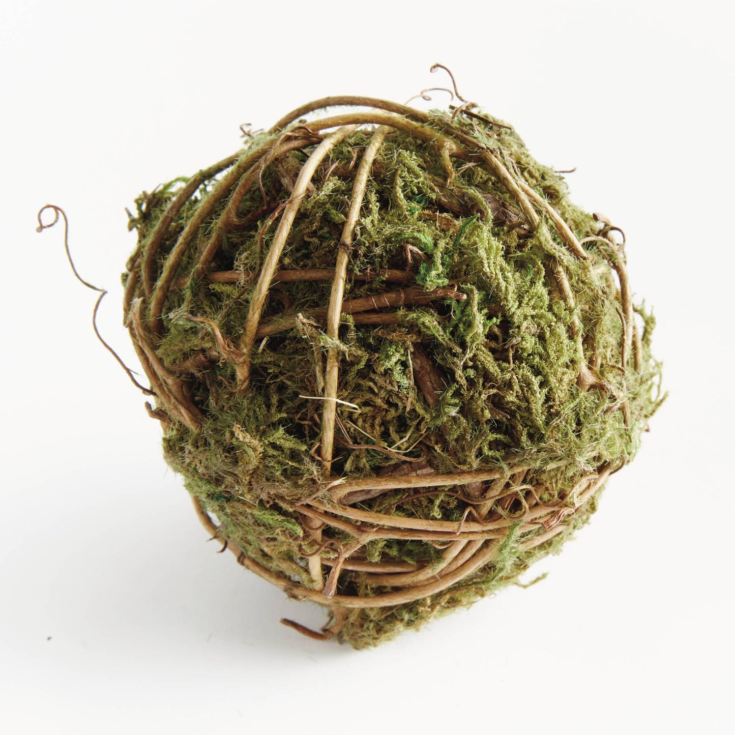 Mossy Vine Orb 4"