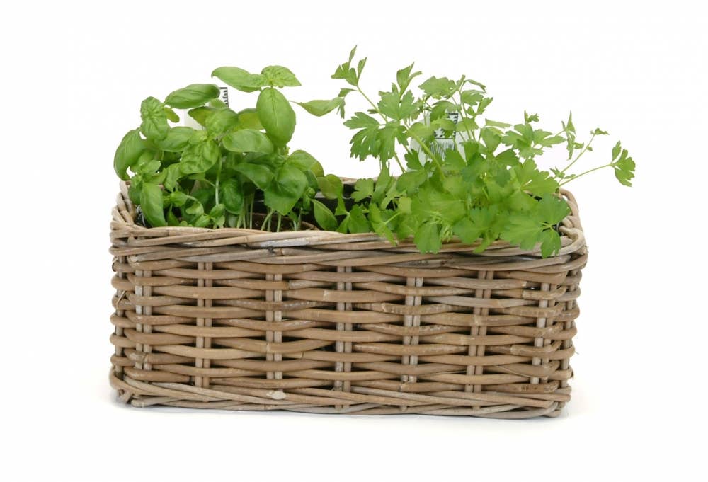 Rectangle Kubu Planter Lined - Magnolia Lane co. Home + Garden + Gift