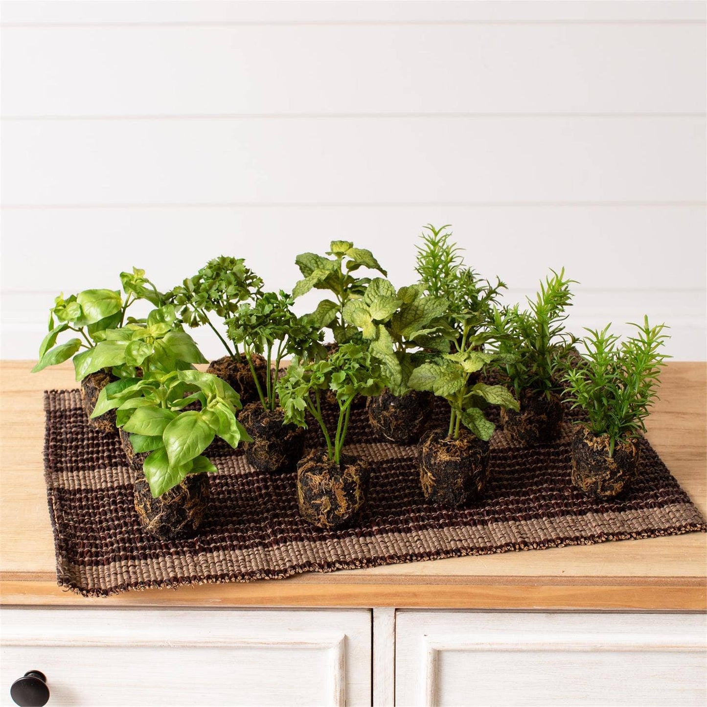 Herbs - Herbs In Soil Unpotted