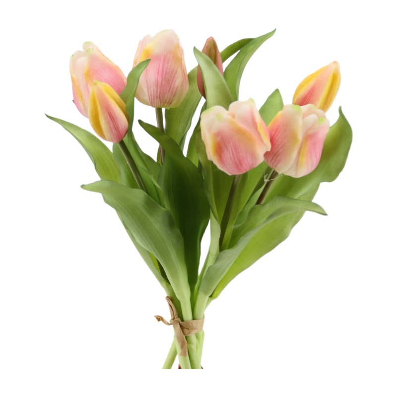 Tulip bunch 'soft touch' 30 cm pink-yellow x7