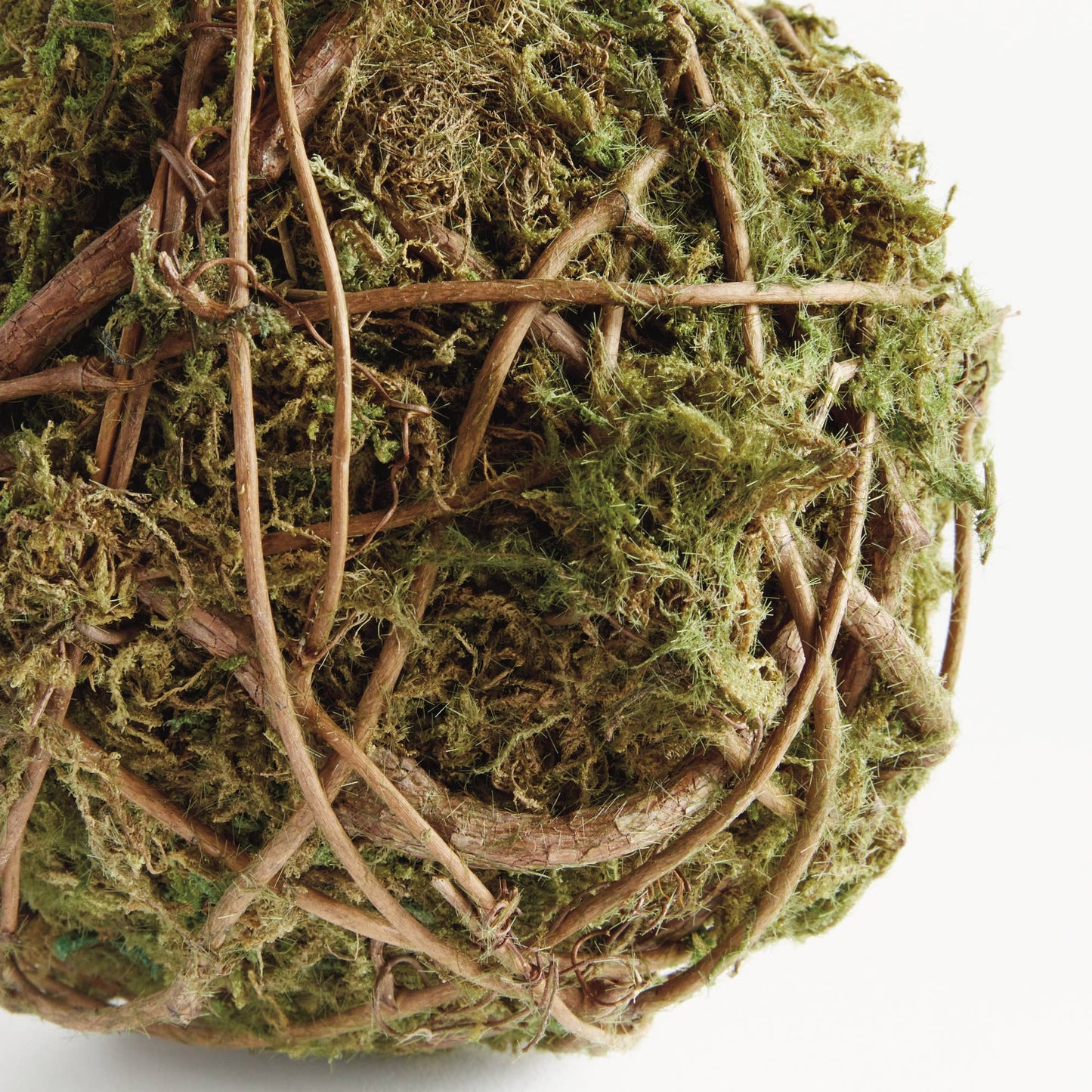 Mossy Vine Orb 6"
