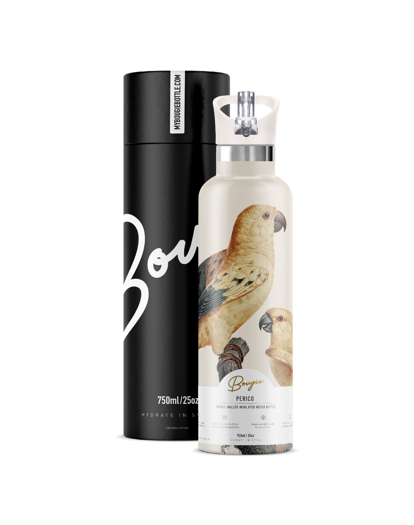 Perico | Vintage Parrot Insulated Water Bottle 25oz