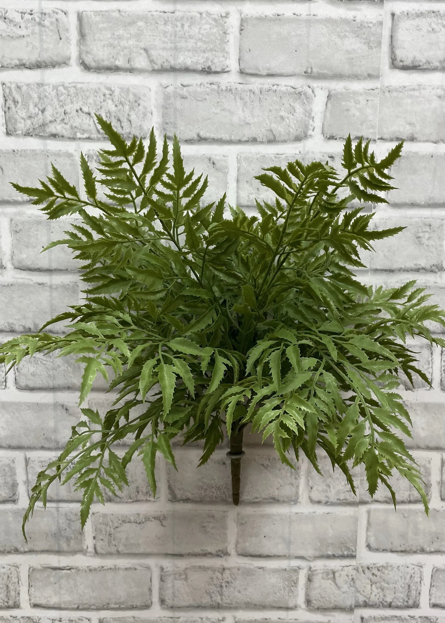 17" FRESH TOUCH MING ARALIA BUSH