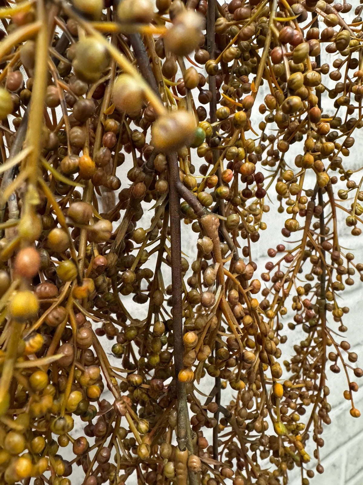 31" PEPPERBERRIES HANGING VINE BUSH