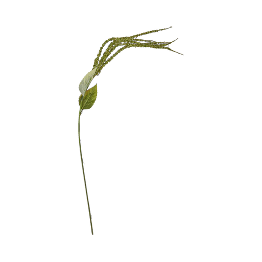 Foxtail Stem, Green
