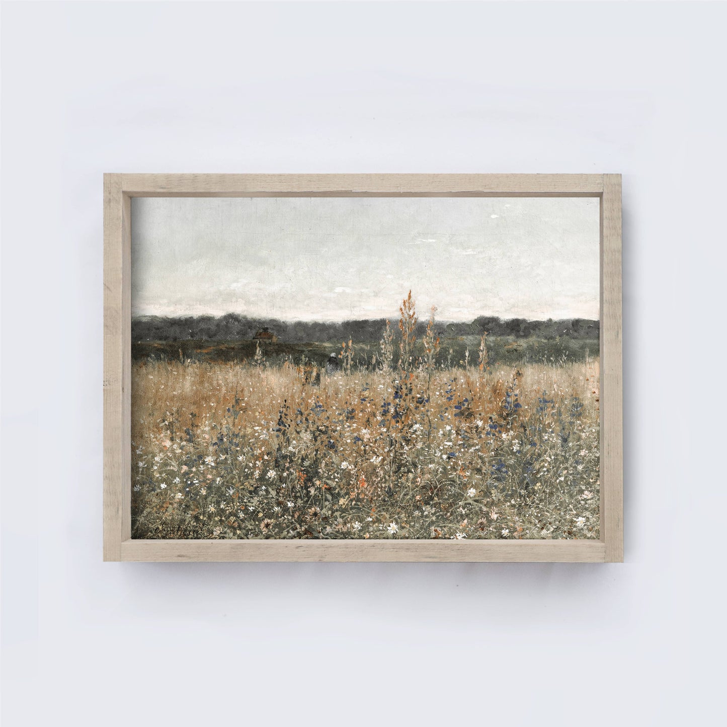 Vintage Print Framed | WildFlowers A22