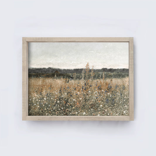 Vintage Print Framed | WildFlowers A22