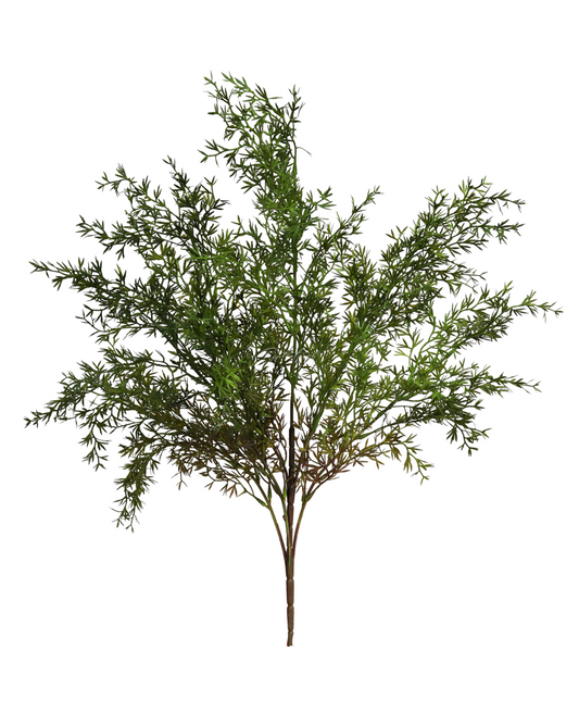 Real Touch Asparagus Umbellatus - Still Stems Home & Garden