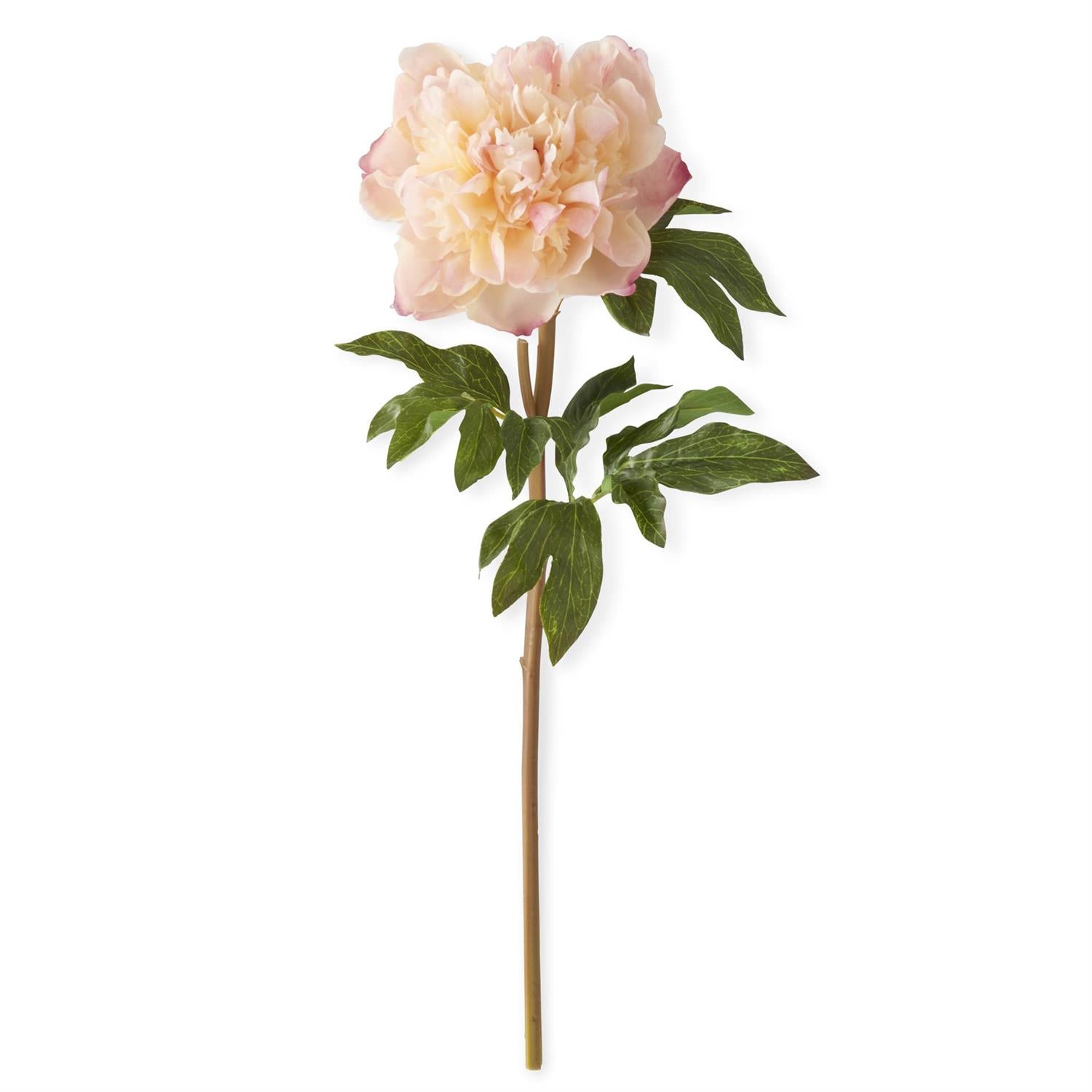 21.5 Inch Coral Charm Real Touch Peony Stem - Magnolia Lane co. Home + Garden + Gift