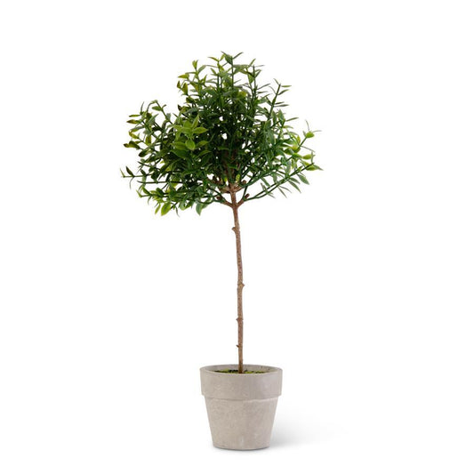 11 Inch Mini Potted Tea Leaf Topiary