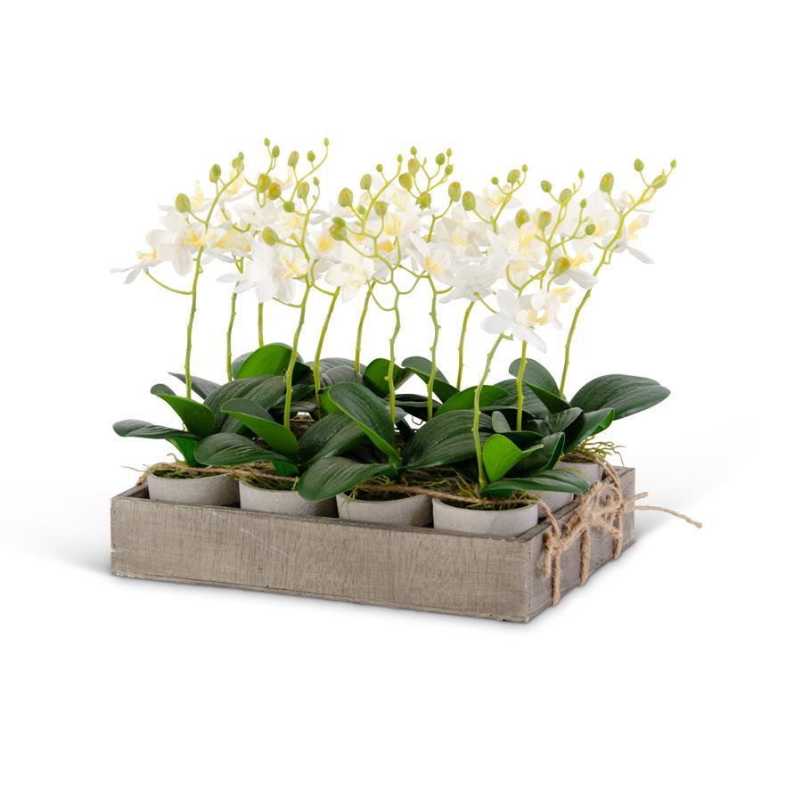 Mini faux Potted White Orchid