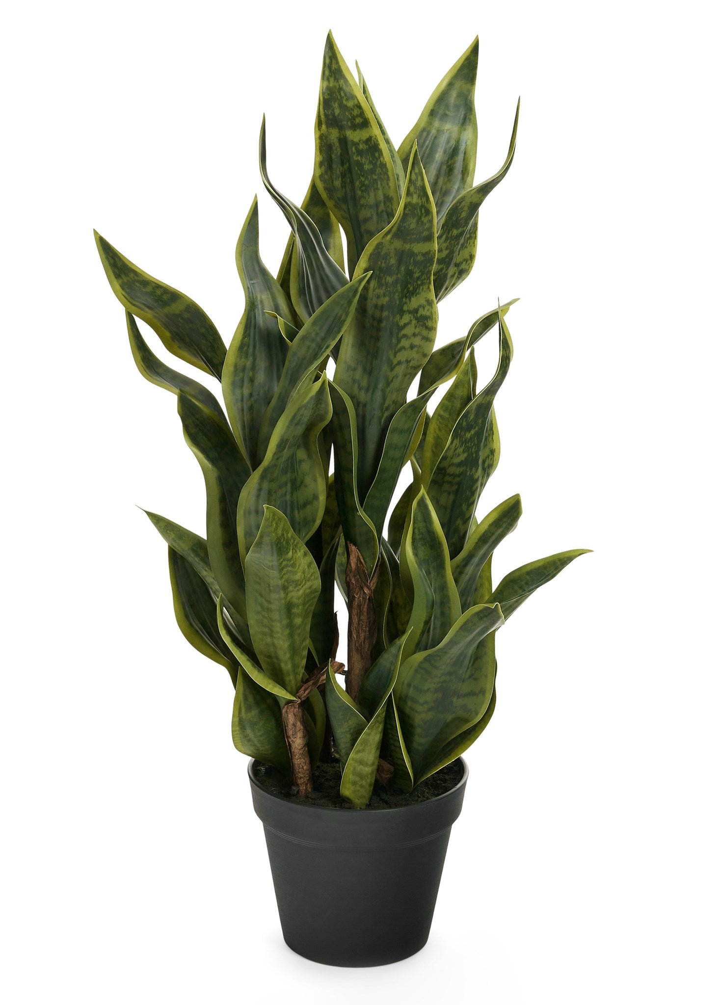PLANT SANSEVERIA W/POT 29LVS PLST GREEN 11X26 - Magnolia Lane co. Home + Garden + Gift