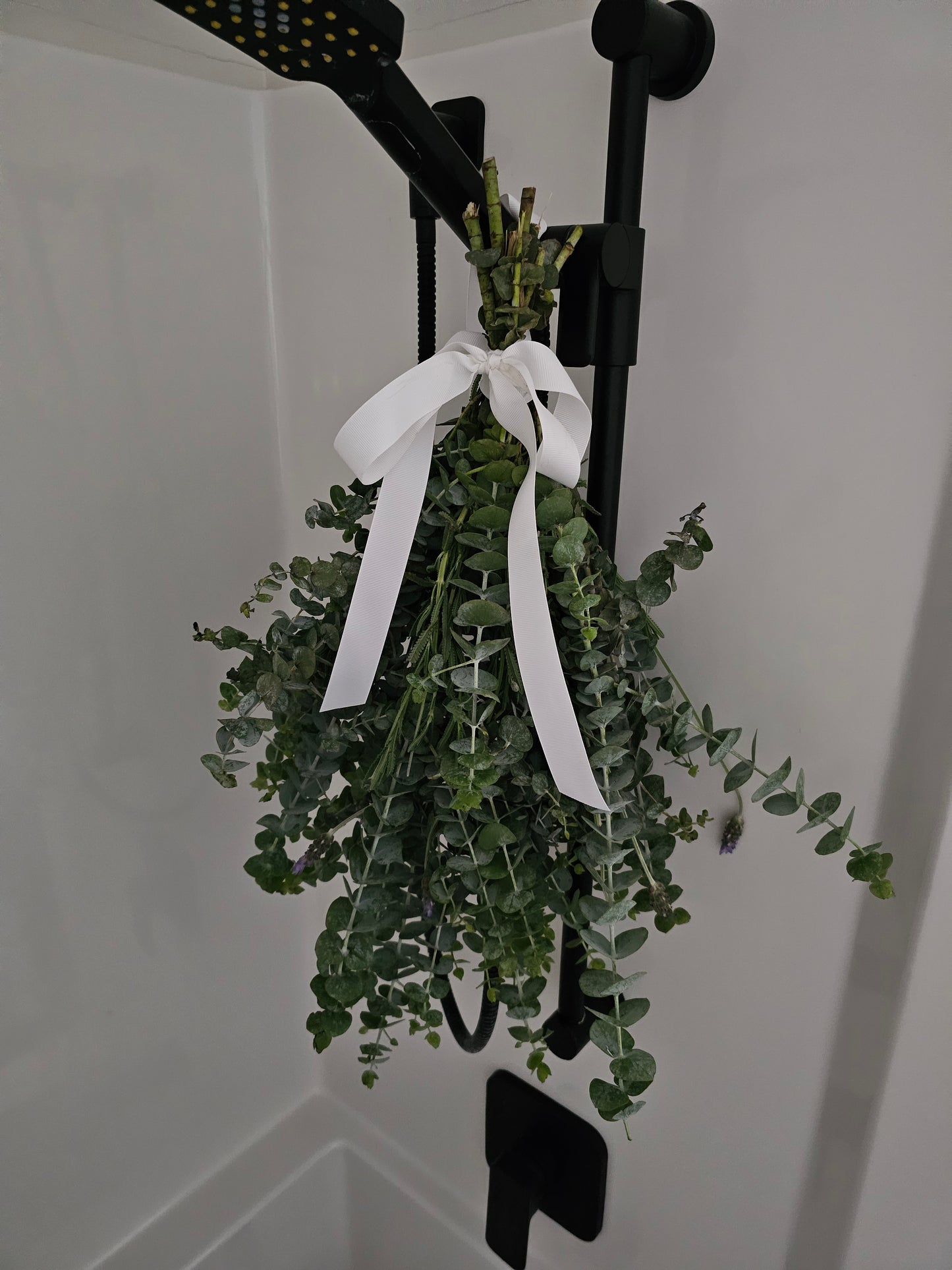 Fresh Eucalyptus Baby Blue Bunch