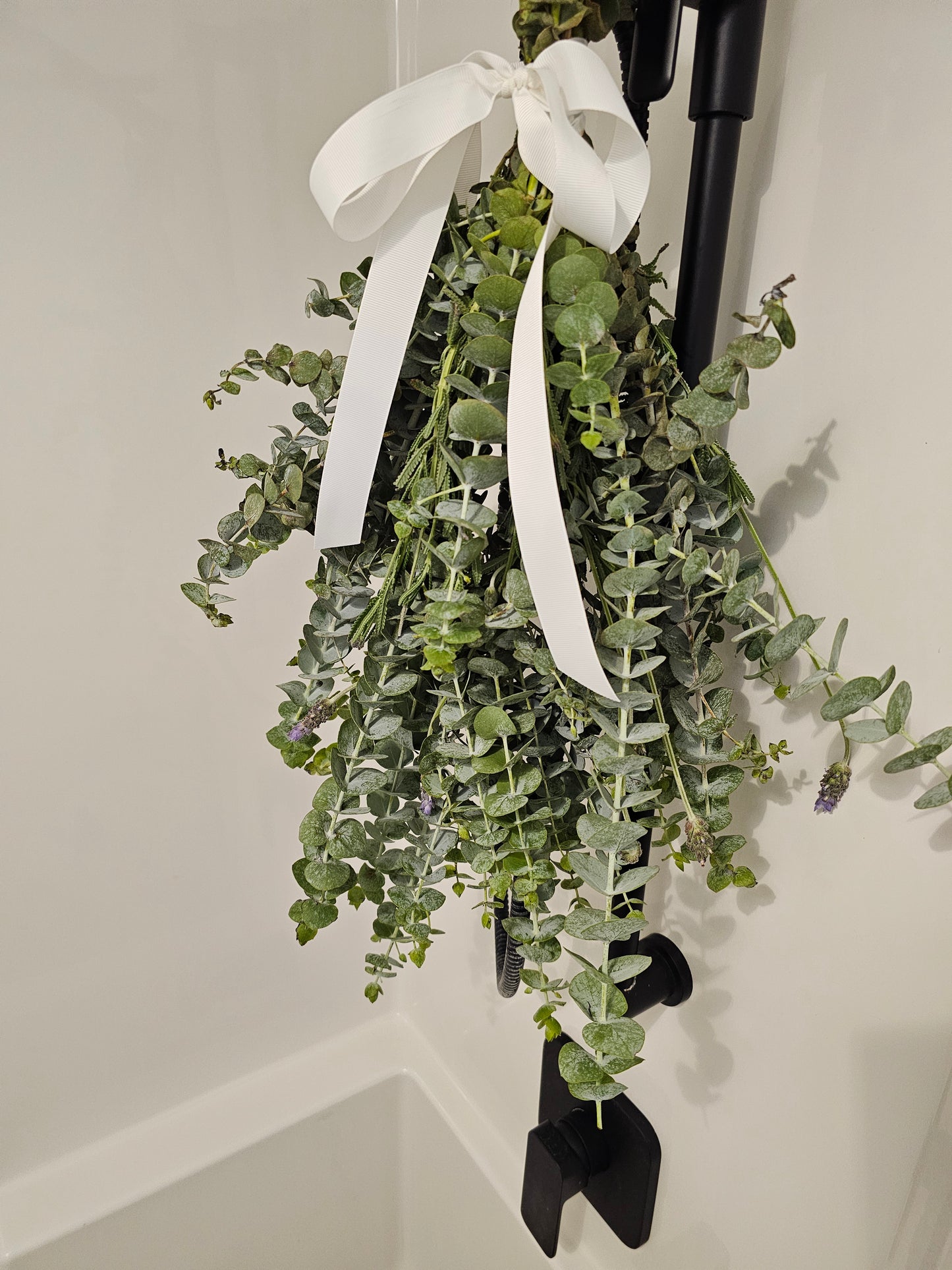 Fresh Eucalyptus Baby Blue Bunch