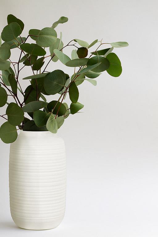 Medium Simple Vase