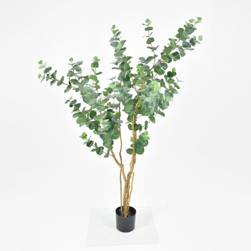 4'H Powdered Eucalyptus Tree w/544 Lvs in Pot - Magnolia Lane co. Home + Garden + Gift