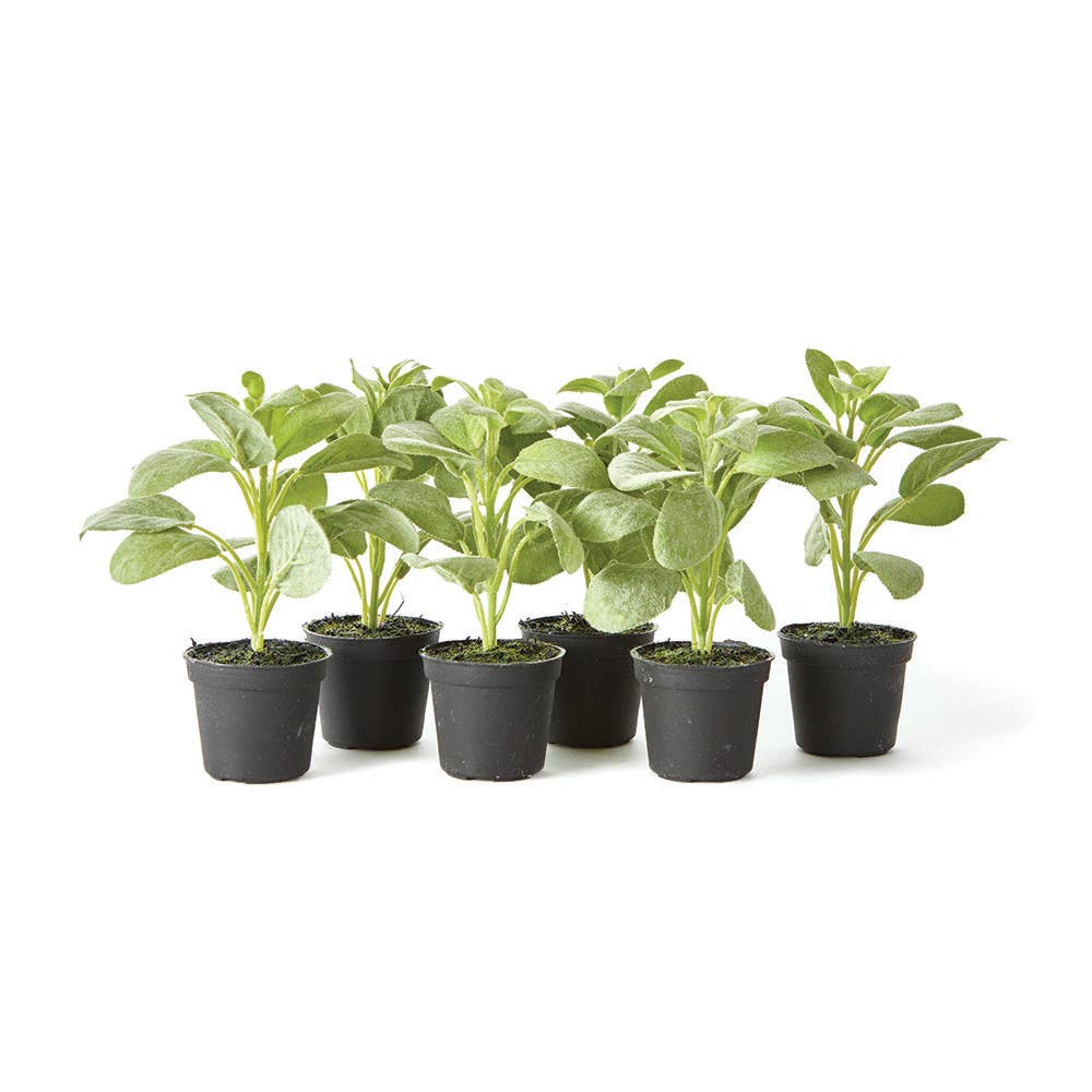 Faux Sage Herb Drop-In 6.5" - Magnolia Lane co. Home + Garden + Gift