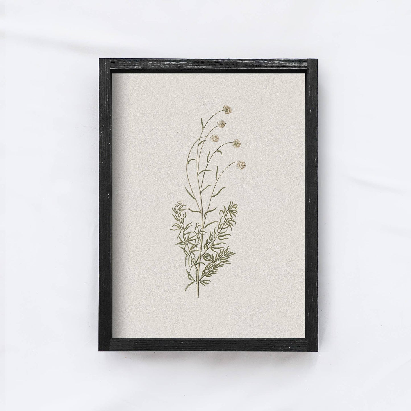 Floral Print Framed |Botanical Flower Print A106