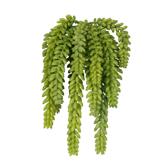 Light Green 13"L Donkeys Tail Bush ×