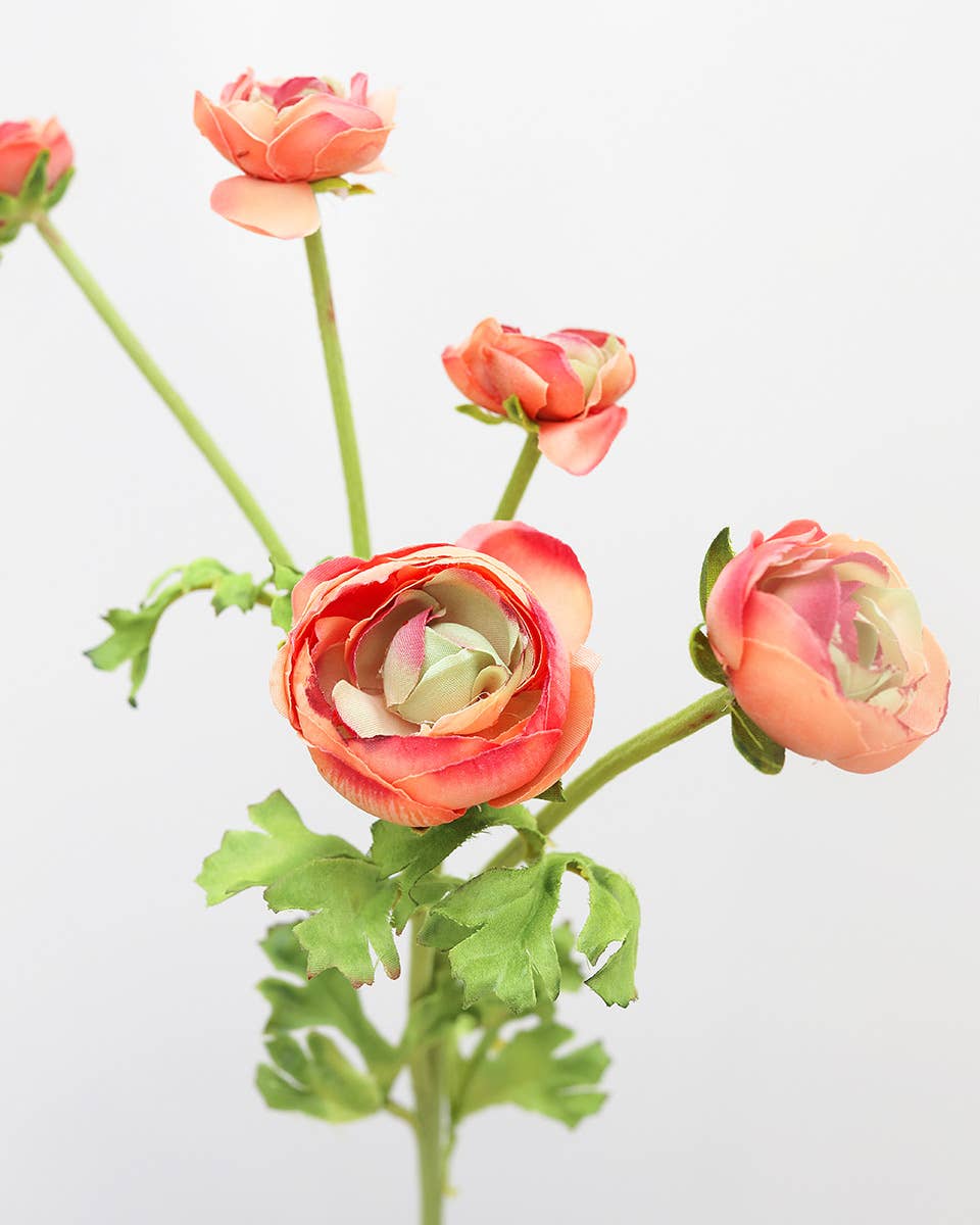 Real Touch Coral Ranunculus 22”