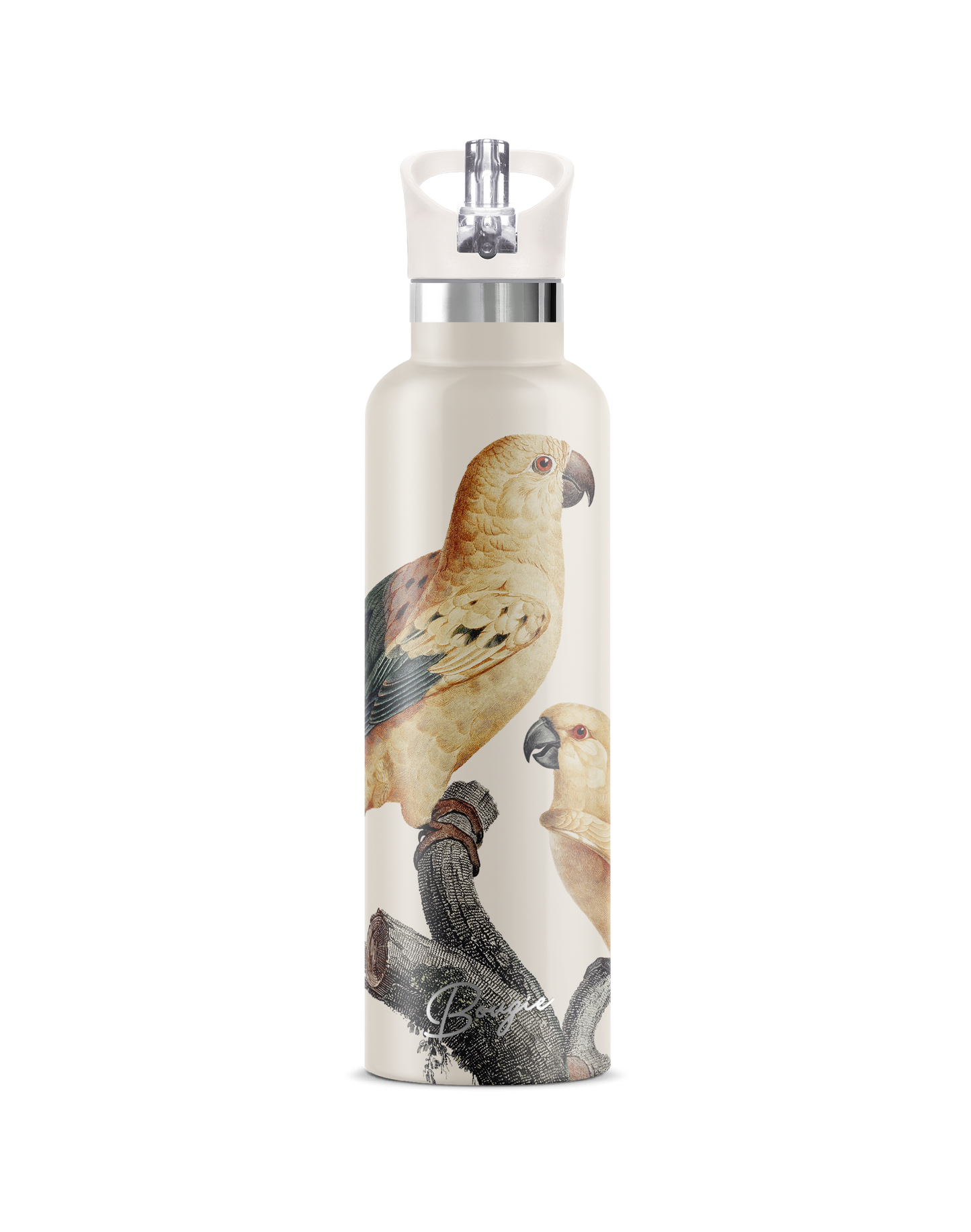 Perico | Vintage Parrot Insulated Water Bottle 25oz