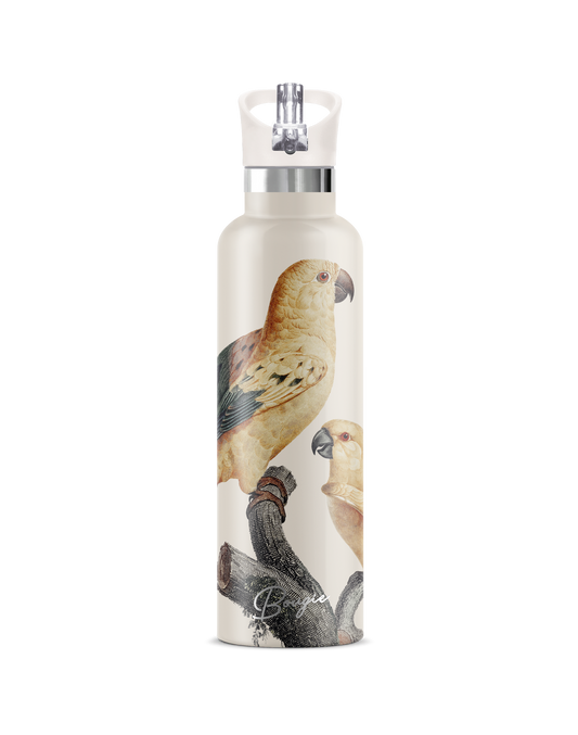 Perico | Vintage Parrot Insulated Water Bottle 25oz