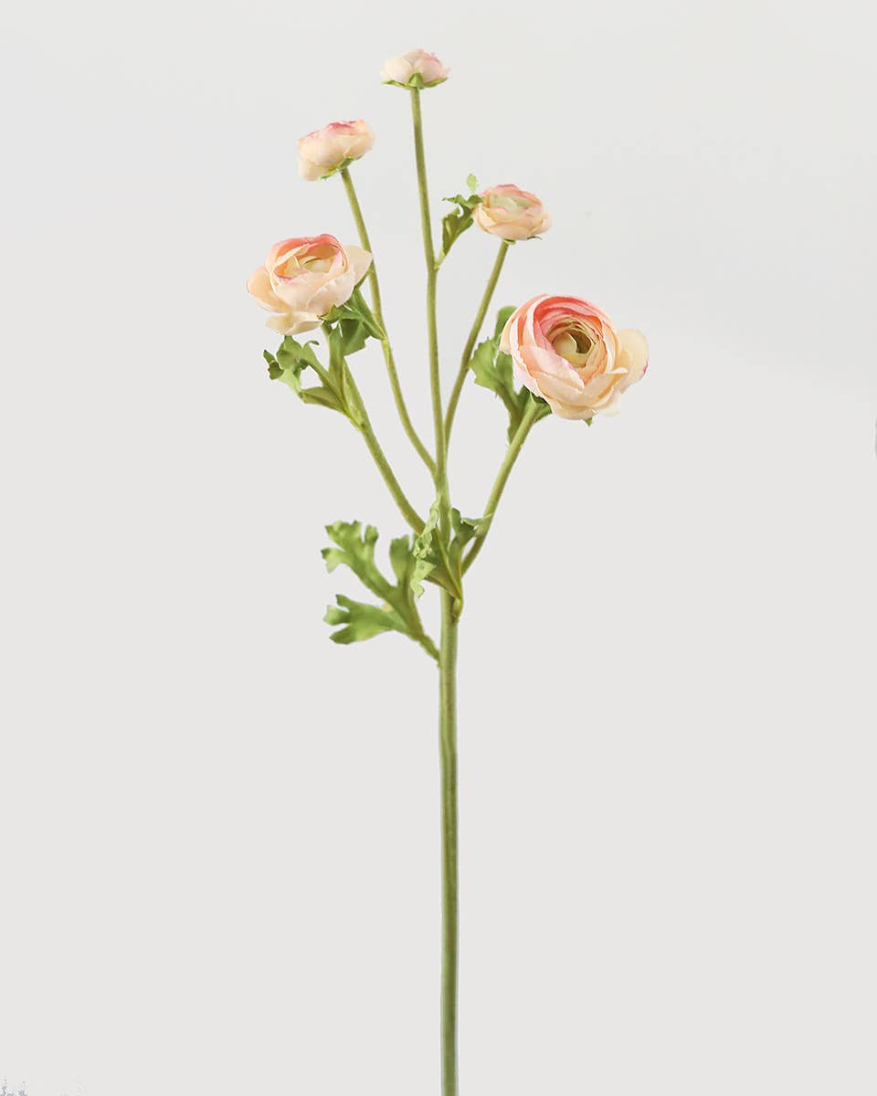 Real Touch Apricot Ranunculus 22”