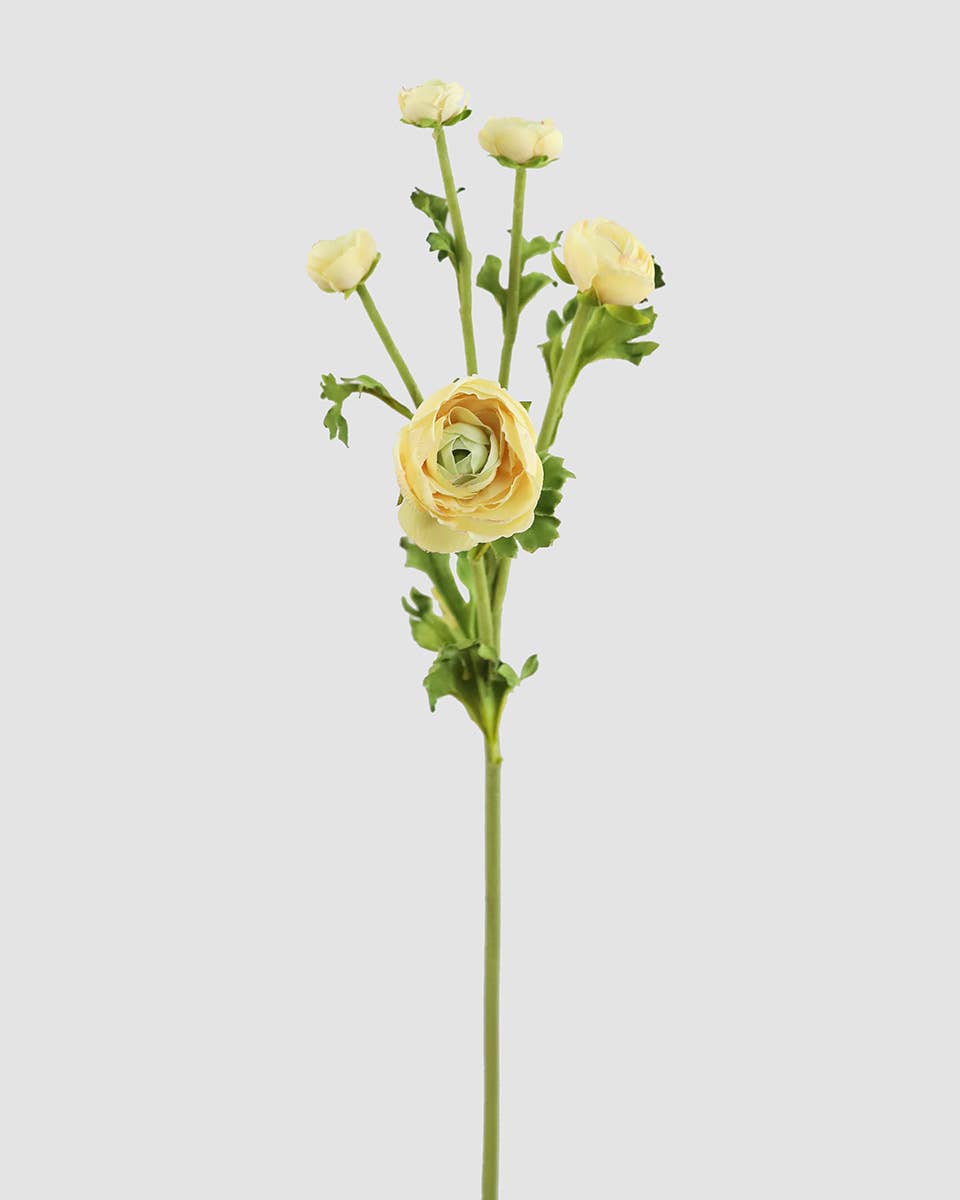 Real Touch Yellow Ranunculus 22”