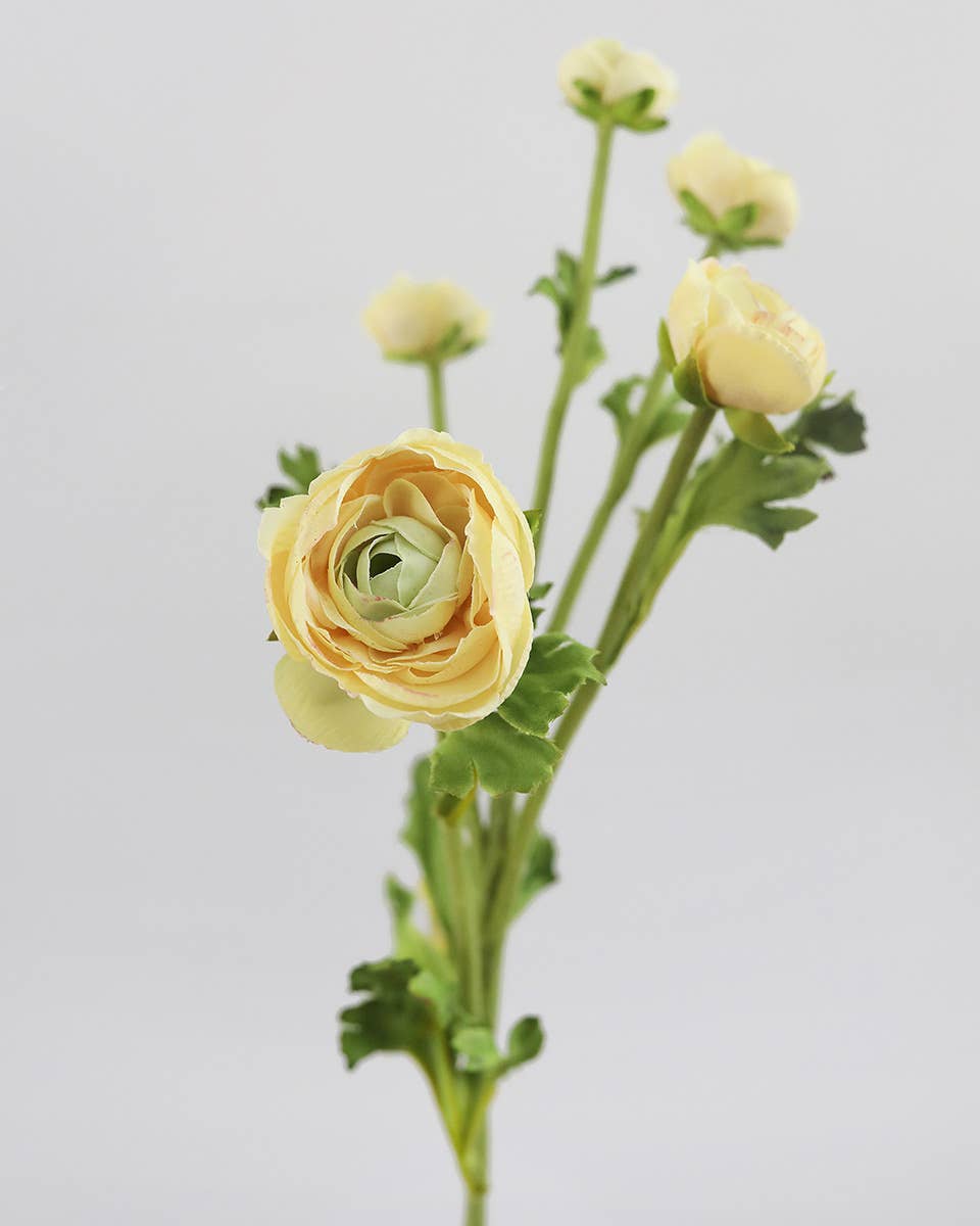 Real Touch Yellow Ranunculus 22”