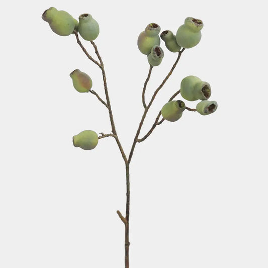 Artificial Eucalyptus Pods 24.5"
