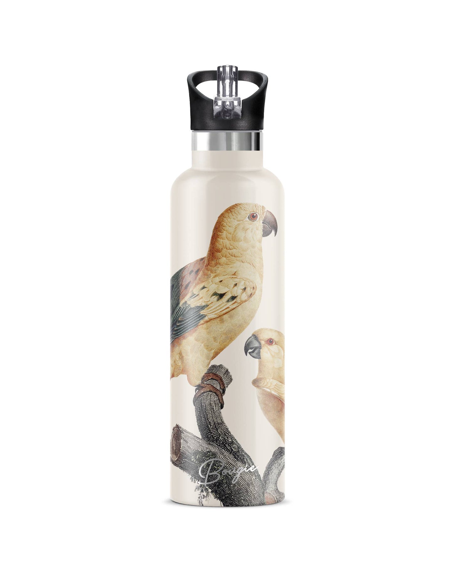Perico | Vintage Parrot Insulated Water Bottle 25oz