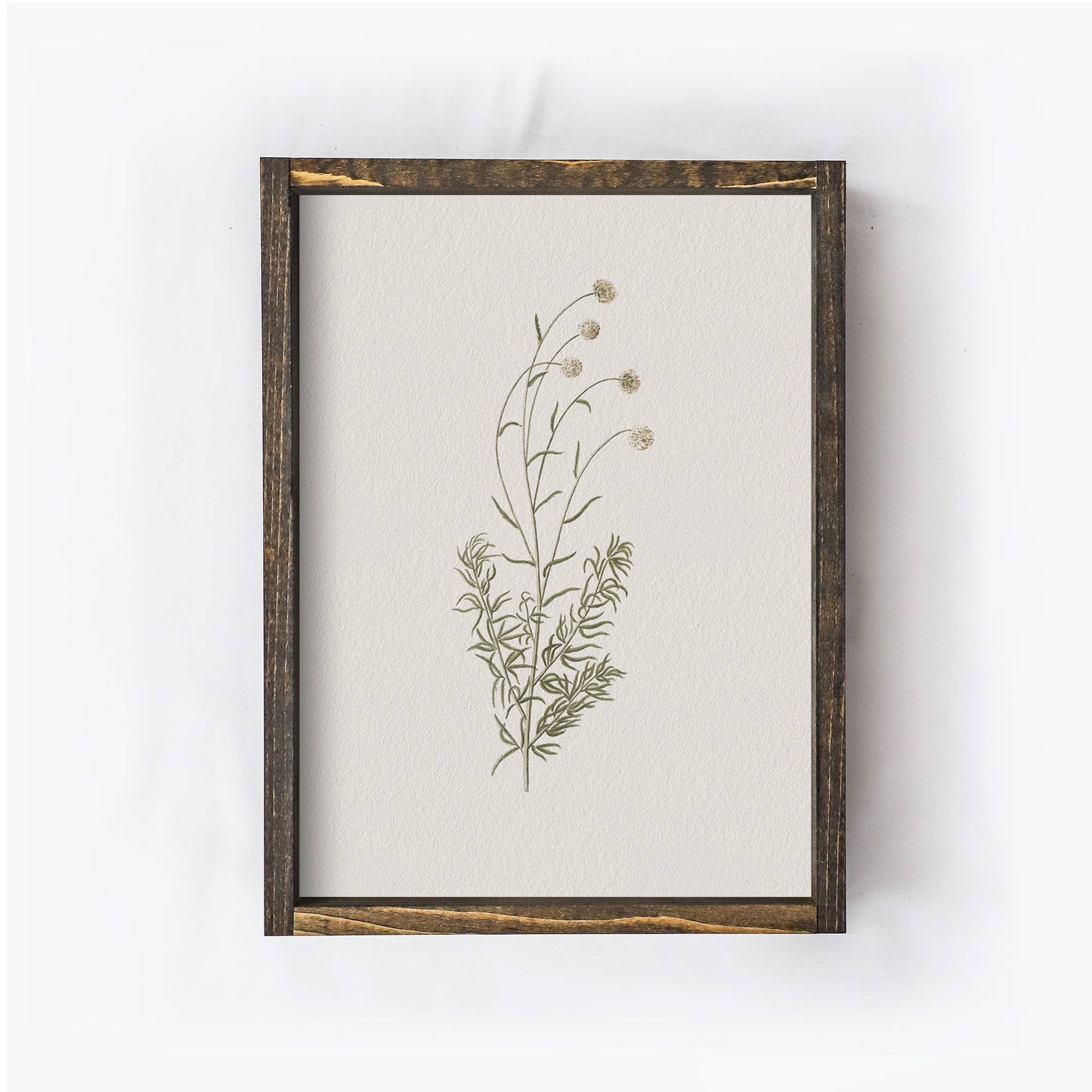 Floral Print Framed |Botanical Flower Print A106