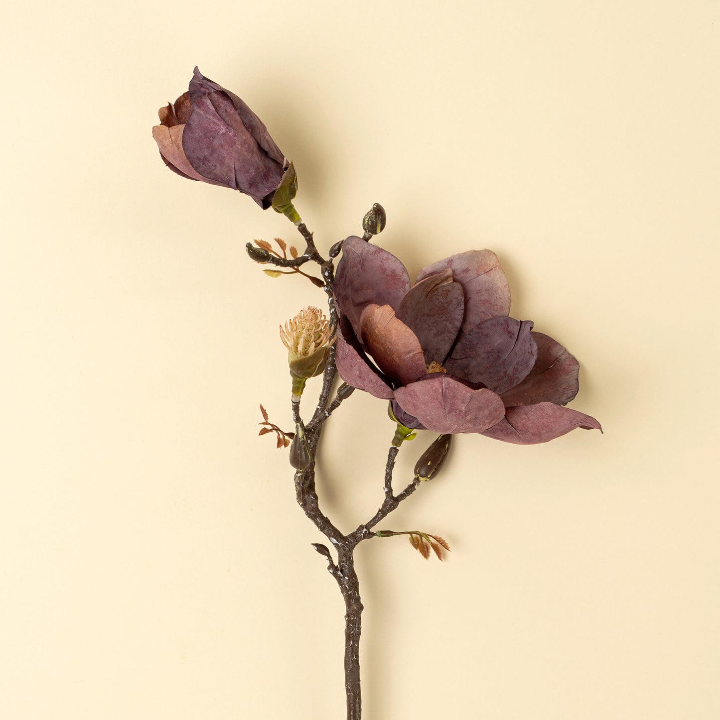 Magnolia Branch, Purple