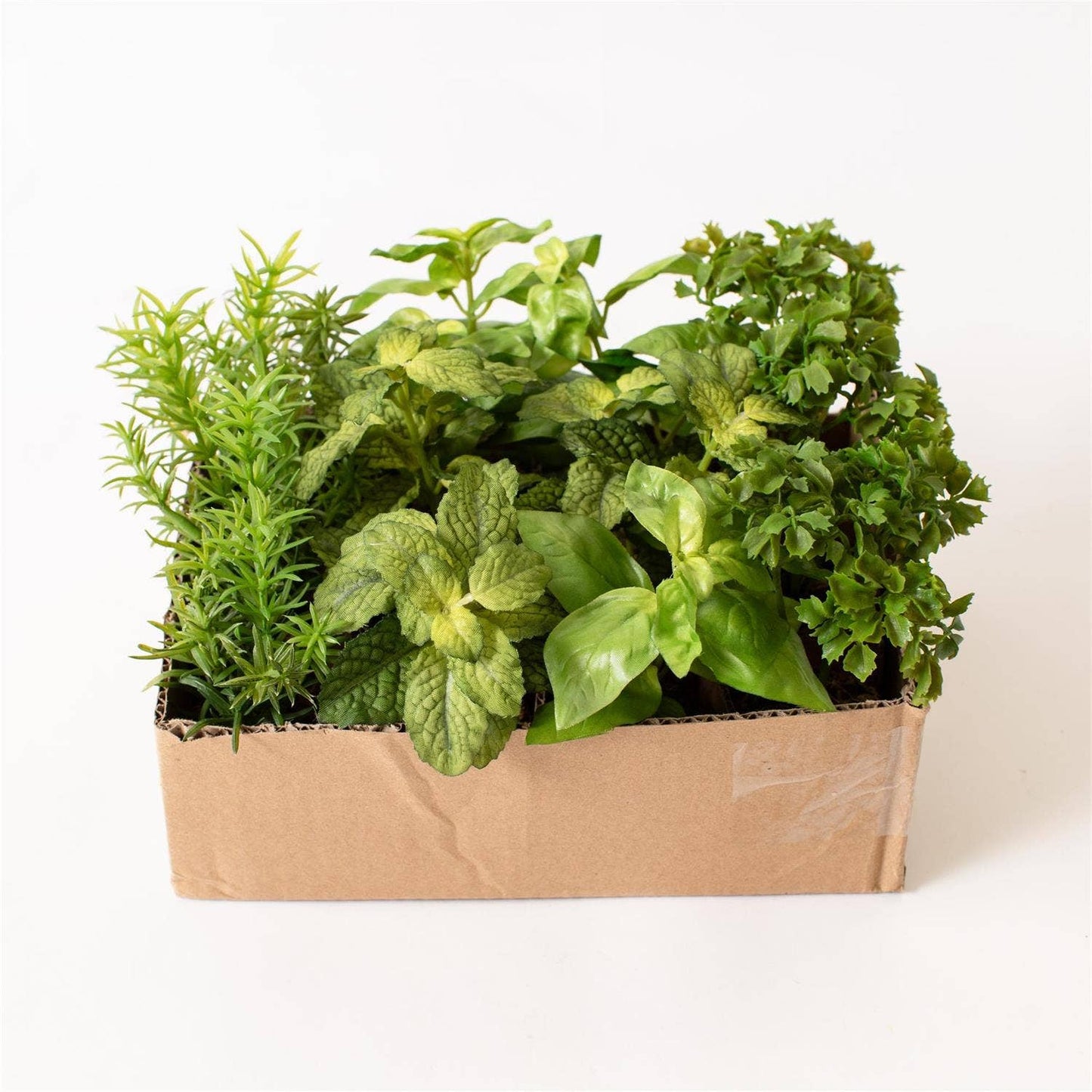 Herbs - Herbs In Soil Unpotted