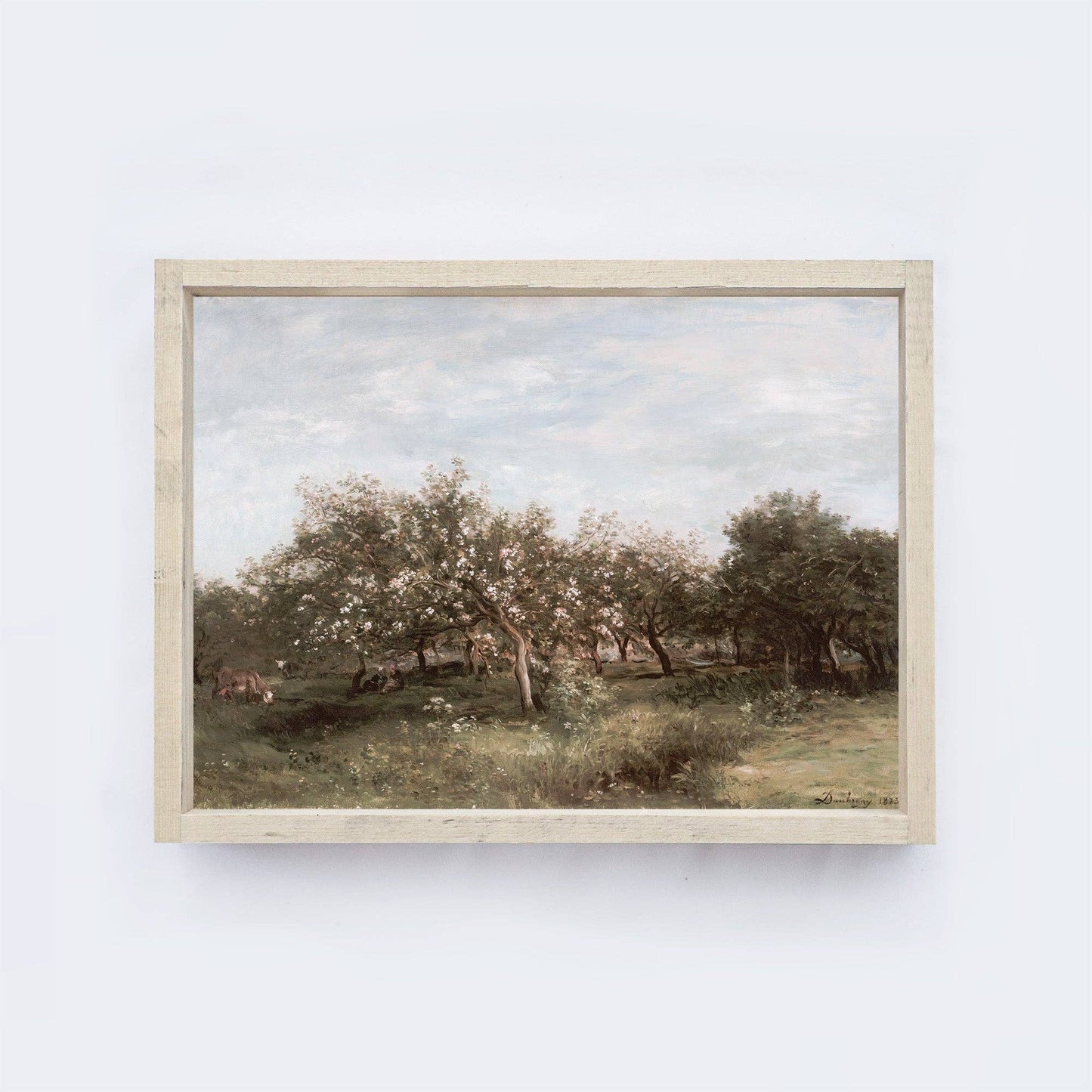 Vintage Print Framed | Apple Orchards A25