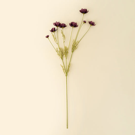 Calliopsis Spray
