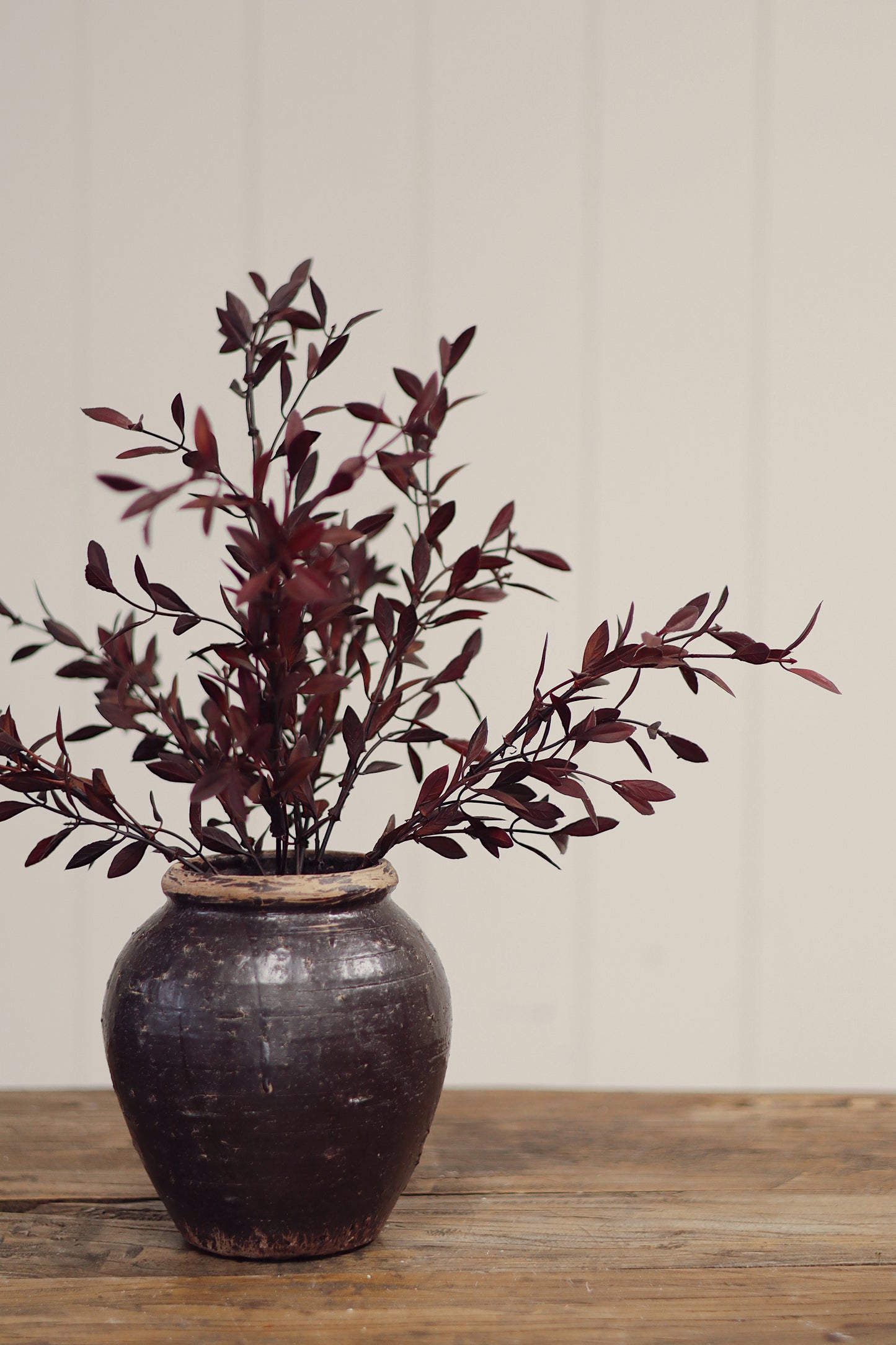 Willow Leaf Spray, Plum
