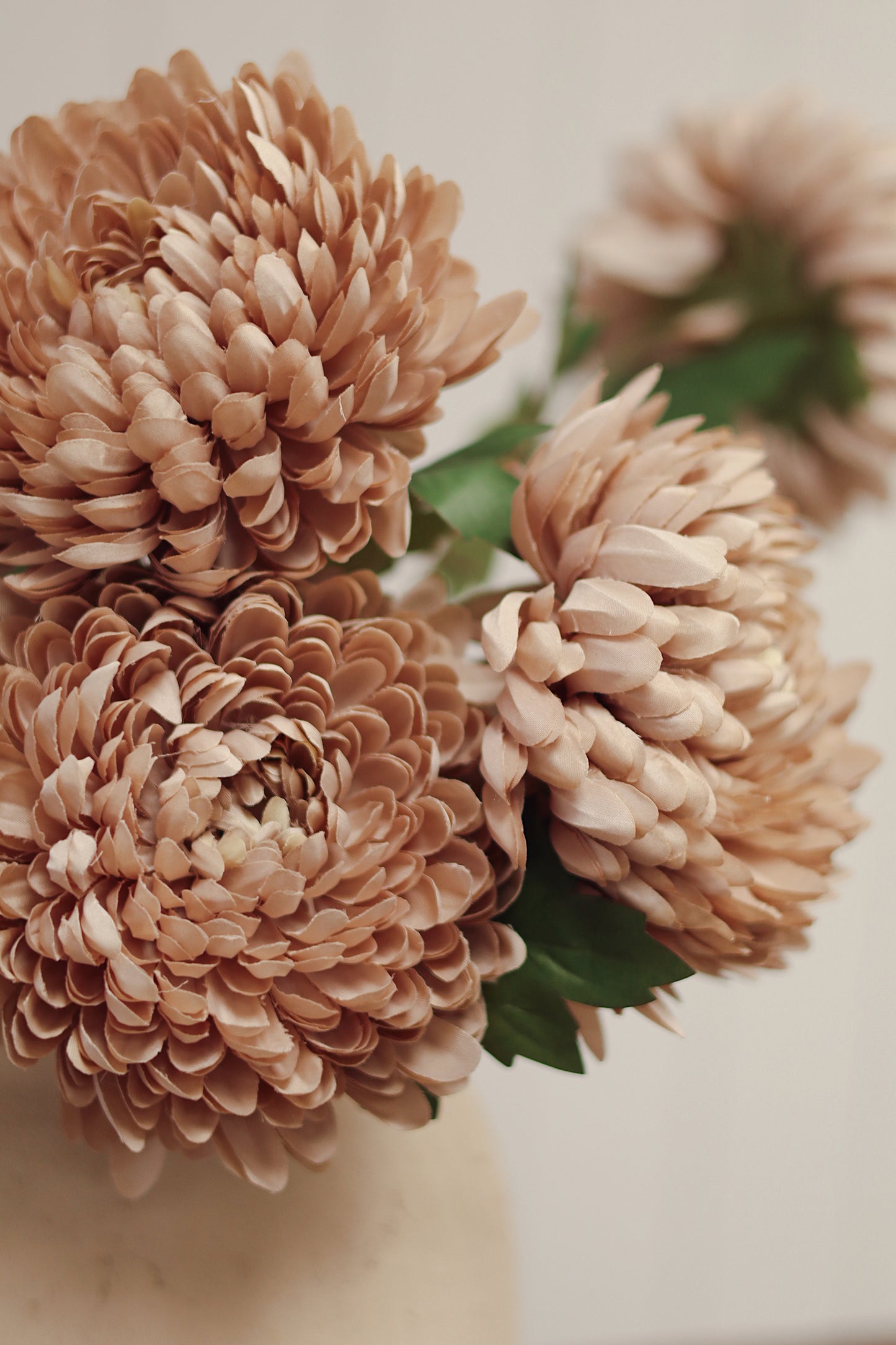 Chrysanthemum Stem, Dusty Pink