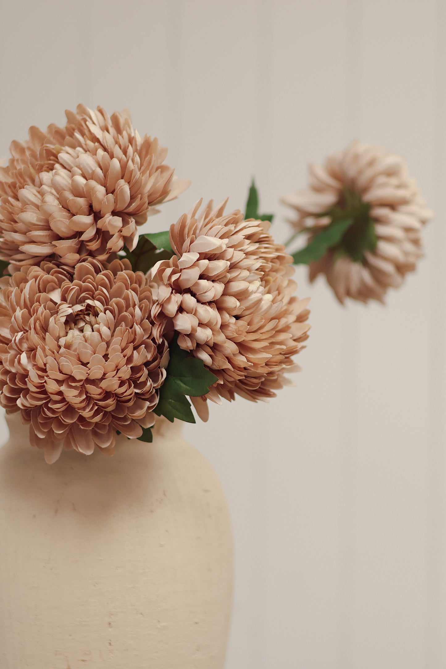 Chrysanthemum Stem, Dusty Pink